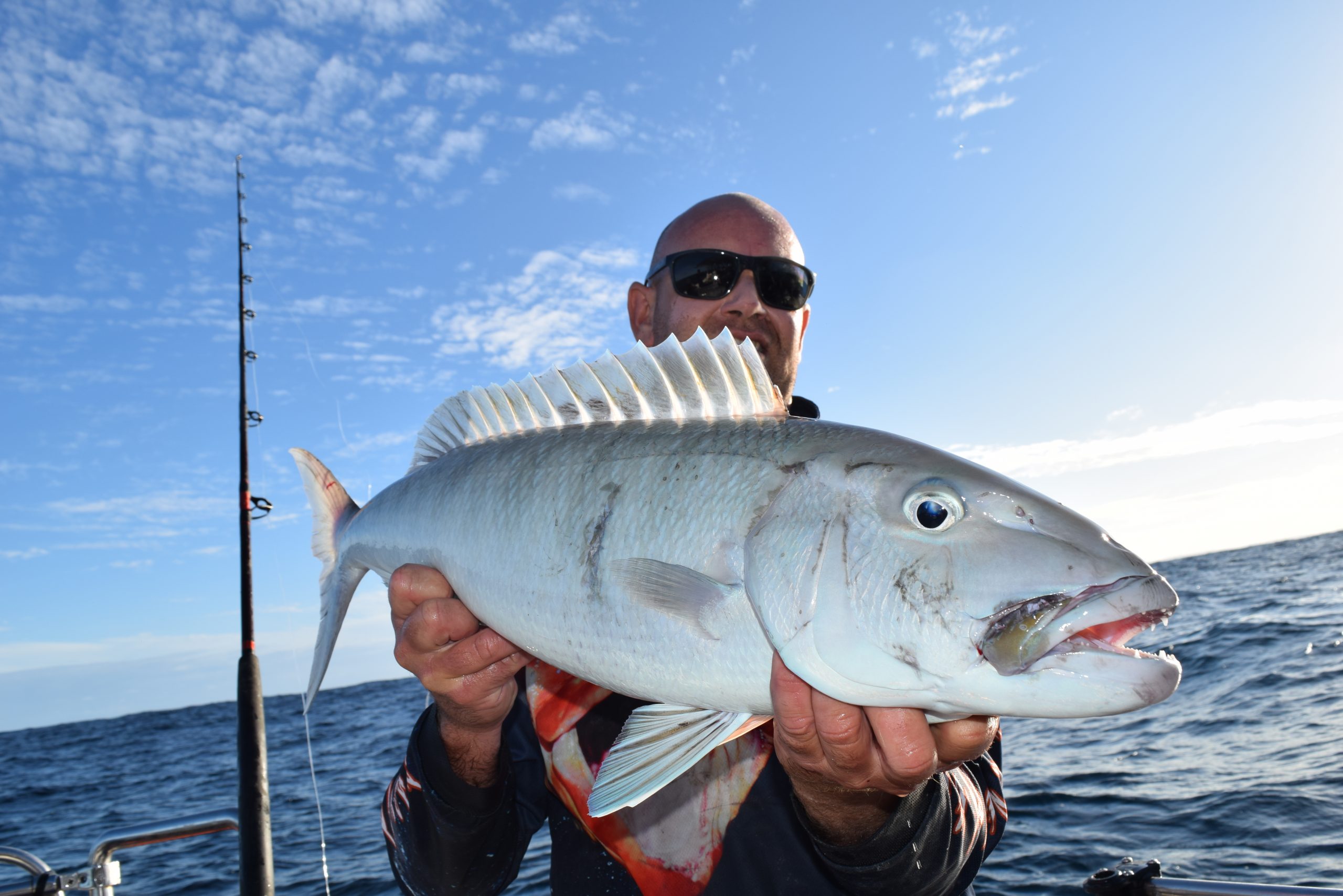 5X Soft Plastic Vibe Lures Poddy Mullet Flathead Jig Heads Barra Cod Fishing